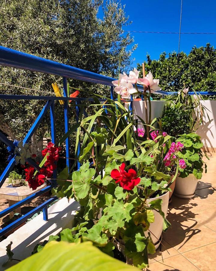 Vita Apartment - Spacious Garden And Balcony 5 Min To Beach & Center Ксамил Экстерьер фото