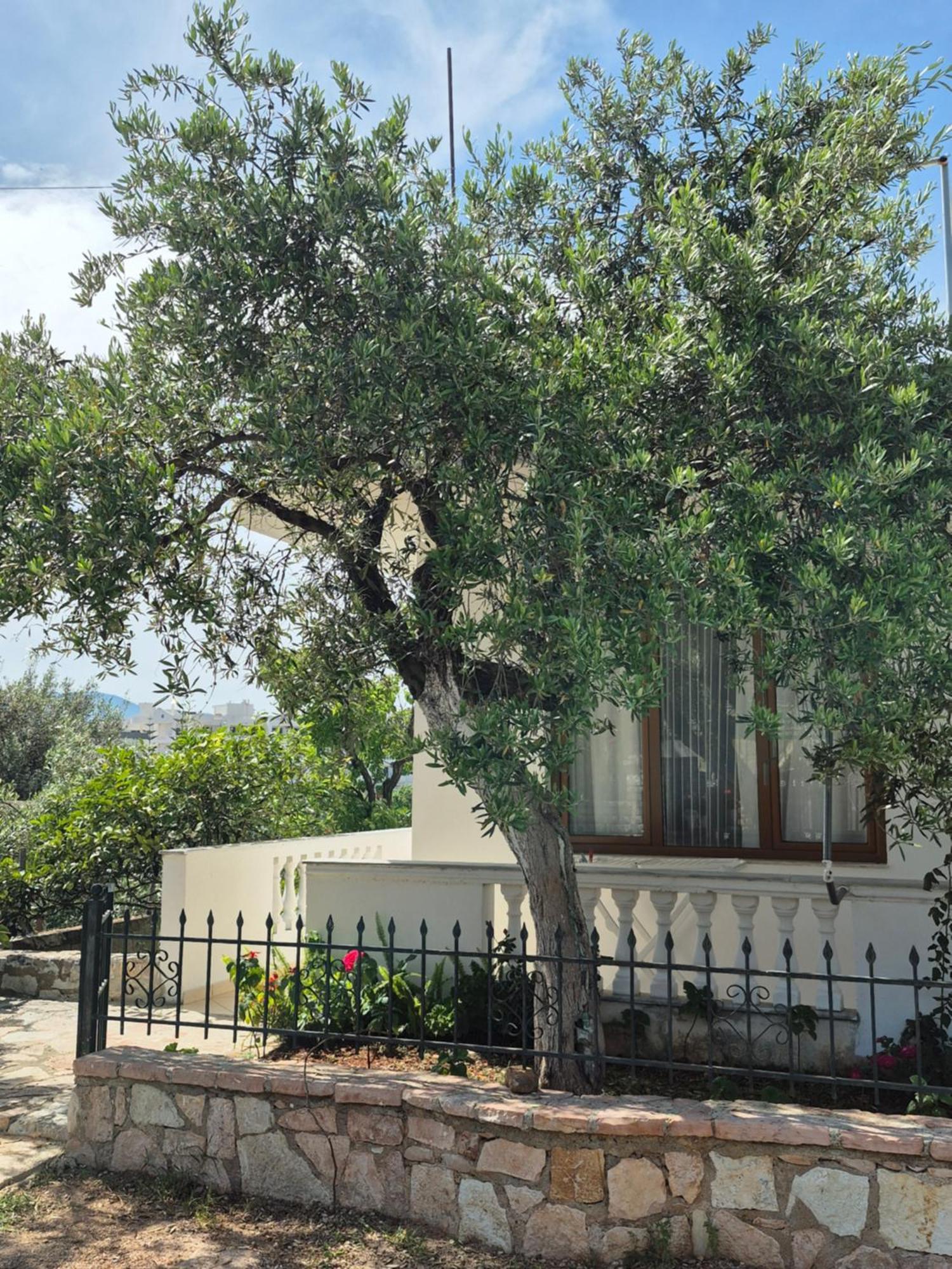 Vita Apartment - Spacious Garden And Balcony 5 Min To Beach & Center Ксамил Экстерьер фото